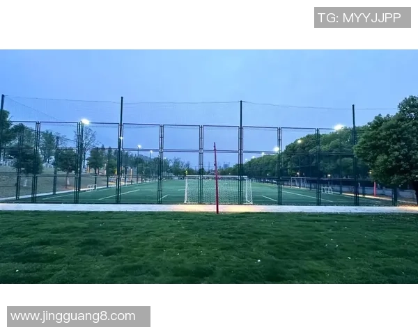 包场足球的魅力与乐趣探讨：打造专属球场体验的全新方式