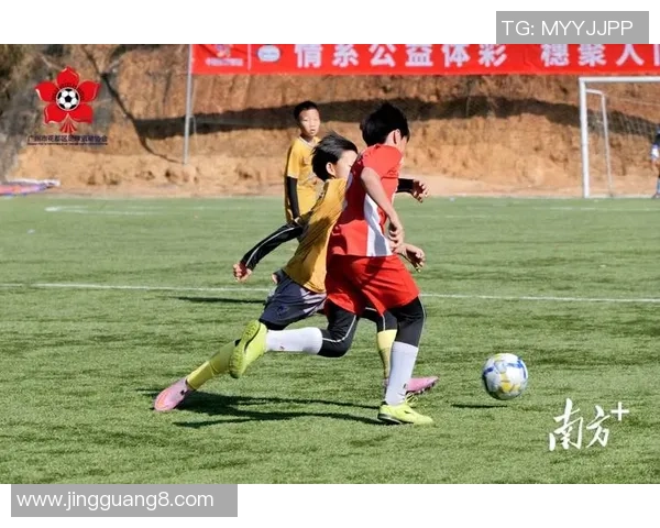 叮叮足球带你领略激情四溢的绿茵场景与精彩赛事背后的故事 叮叮足球带你领略激情四溢的绿茵场景与精彩赛事背后的故事