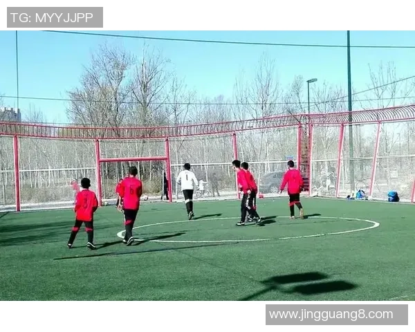 足球场上的梦想与拼搏日记记录我的成长与热爱