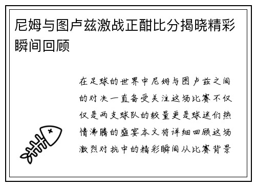 尼姆与图卢兹激战正酣比分揭晓精彩瞬间回顾