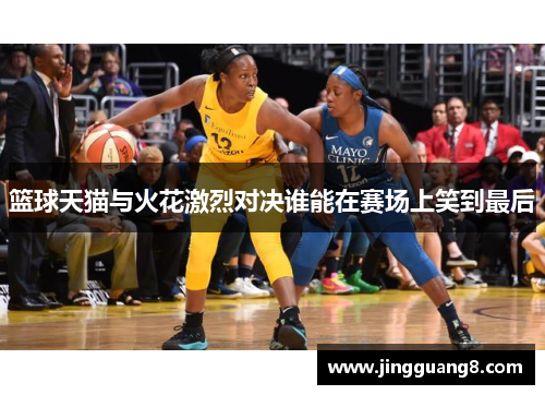 篮球天猫与火花激烈对决谁能在赛场上笑到最后
